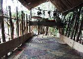 Foto: Women of the Tribe and Search of Freshwater Dolphins in Borneo